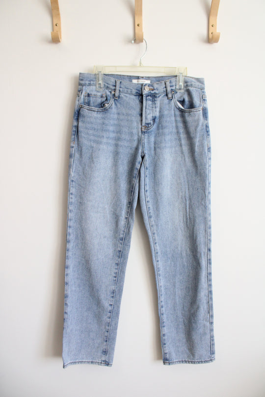 Pacsun Low Rise Straight Jeans | 27