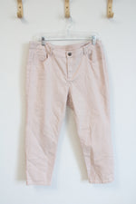 Soft Surroundings Pink Silver Flecked Denim Jeans | 14P