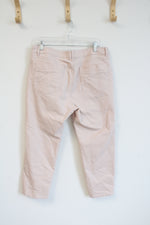 Soft Surroundings Pink Silver Flecked Denim Jeans | 14P