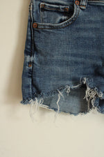 American Eagle Medium wash Cut-off Denim Shorts | 000