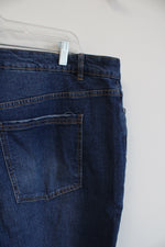 Eloquii Blue Denim Jeans | 20