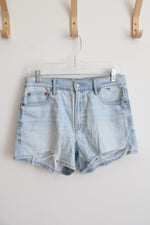 American Eagle Strigid Relaxed Shorts | 6