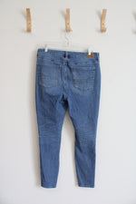 American Eagle The Dream Jean High-Rise Jegging Distressed Jeans | 12