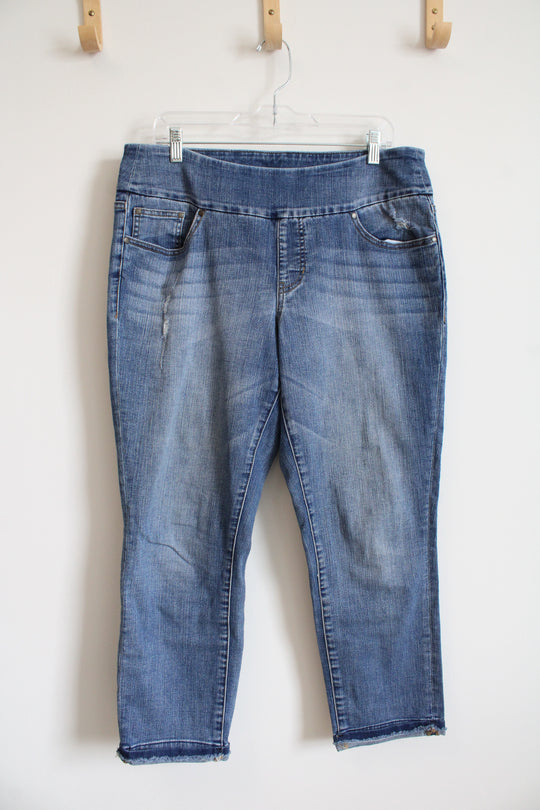 Jagueans High Rise Slim Ankle Jeans | 14