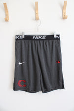 NEW Nike Standard Fit Charcoal Gray Athletic Shorts | M
