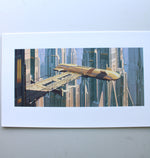 Doug Chiang Star Wars Episode I: The Phantom Menace Lithographic Reproductions | Set Of 20