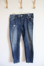 Dear John Joyrich Comfort Skinny Jeans | 29