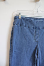 Ruby Rd. Stretch Blue Jeans | 10P