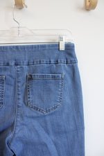 Ruby Rd. Stretch Blue Jeans | 10P