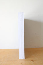 NEW The Word On Fire Bible The Gospels
