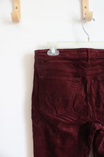 Adriano Goldschmied Slim Straight The Stevie Ankle Velvet Pants | 28R