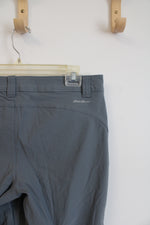 Eddie Bauer Gray Hiking Pants | 6