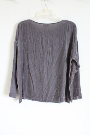 J.Jill Light Gray Silk Blend Velvet Long Sleeved Shirt | S