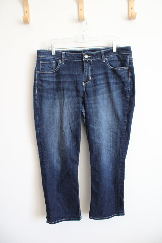 Apt. 9 Capri Jeans | 14 Petite