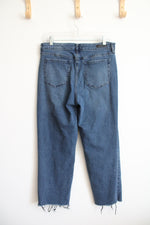 Social Standard High Rise Crop Straight Jeans | 12