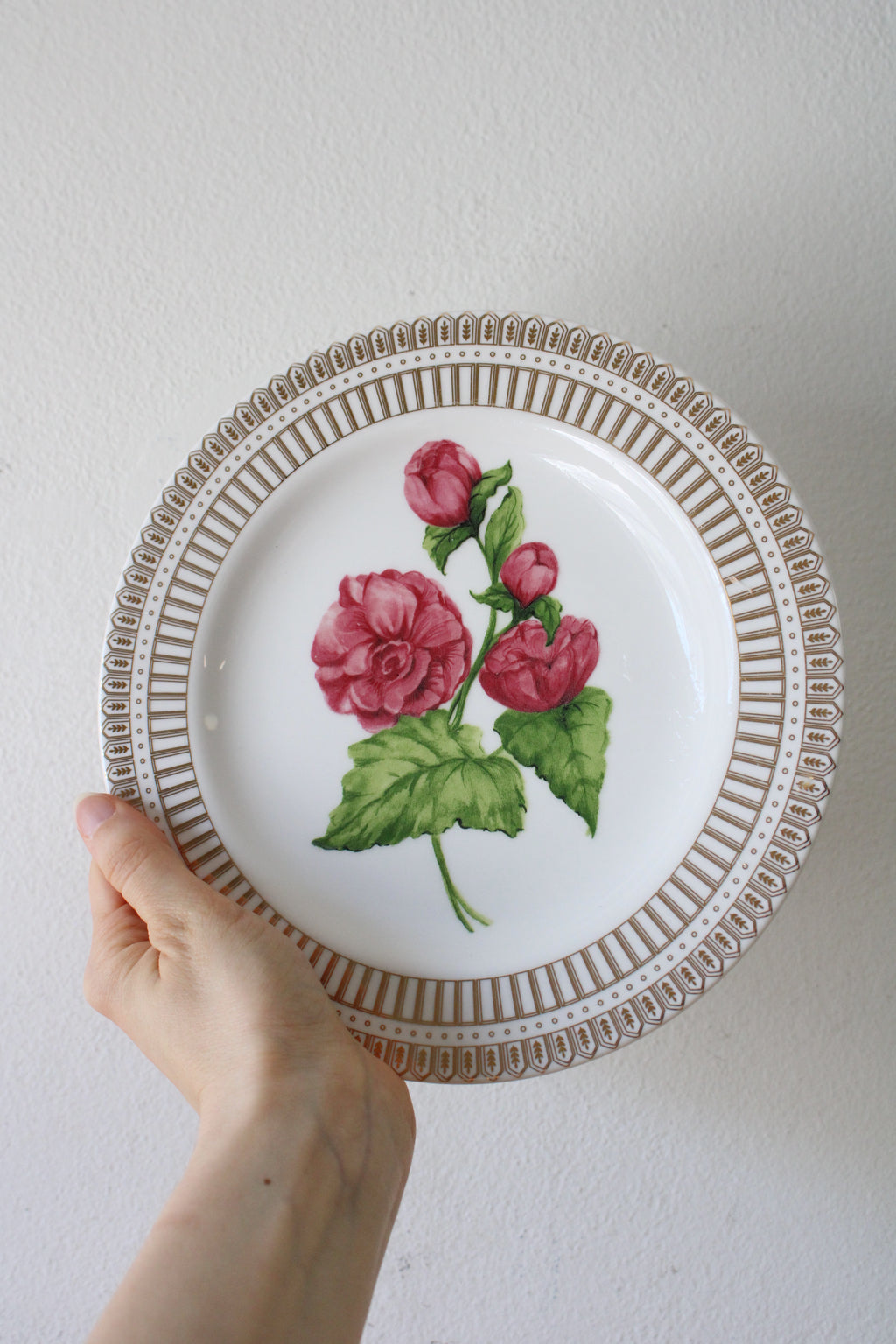 American Atlier At Home Christmas Floral 5429 Plate | 8"