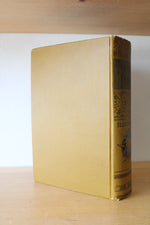 Tennyson's Poems Illustrated