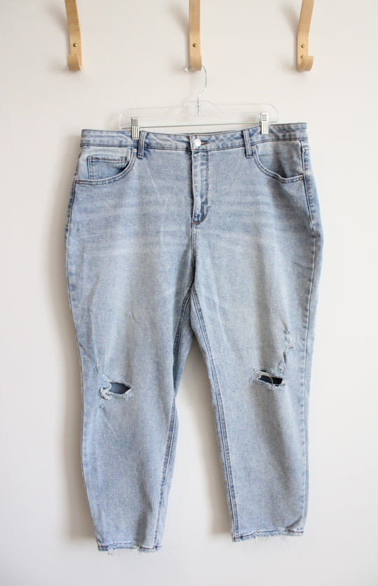 Time And Tru Light Wash Jeans | 20