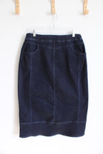 Christopher & Banks Dark Wash Denim Skirt | 10