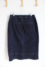 Christopher & Banks Dark Wash Denim Skirt | 10