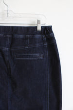 Christopher & Banks Dark Wash Denim Skirt | 10