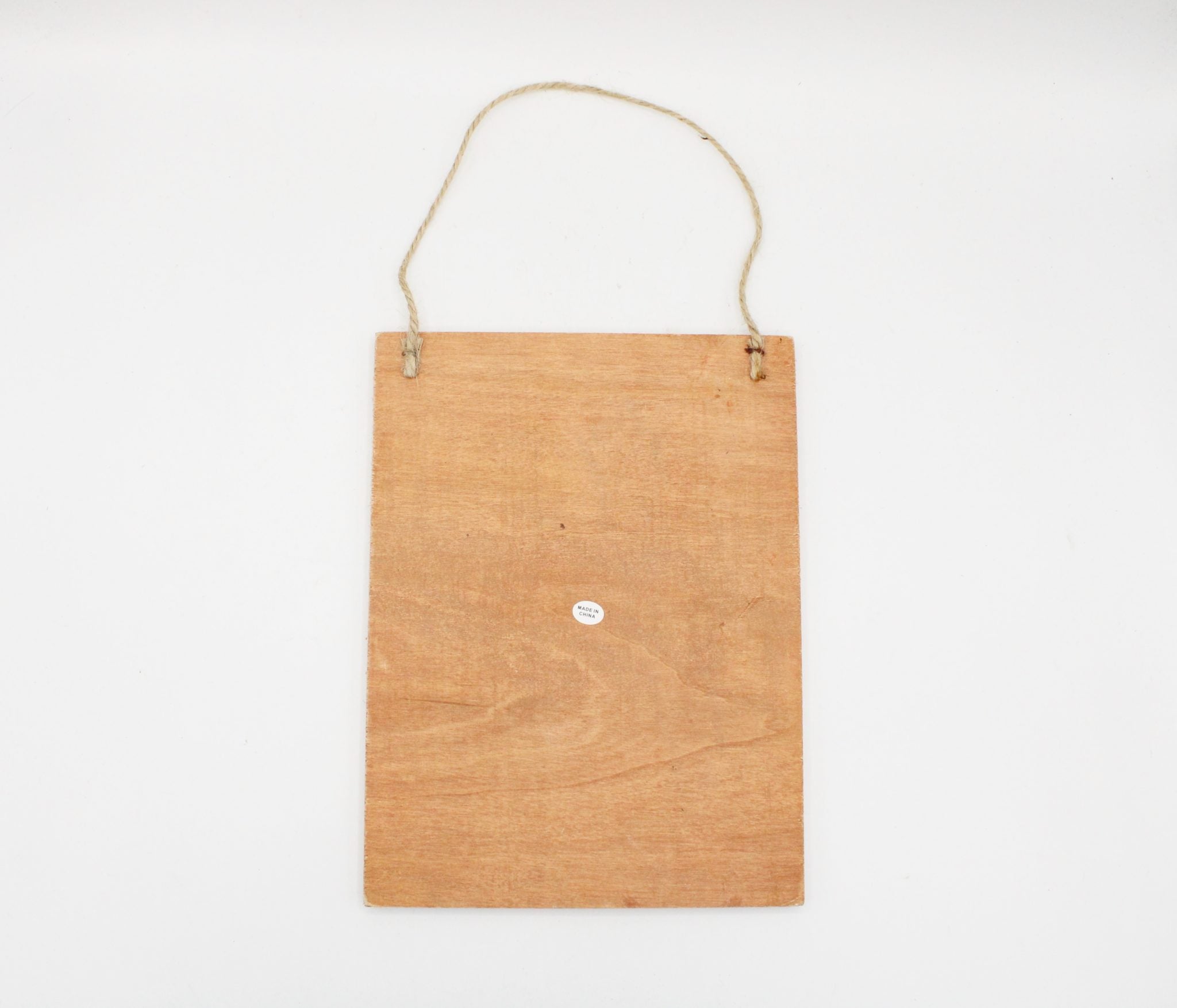 NEW Blue Bird Wild Rose Wooden Hanging Décor | 6X8" | Several Available