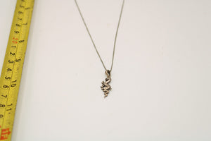 Silver Necklace with Dragon Pendant