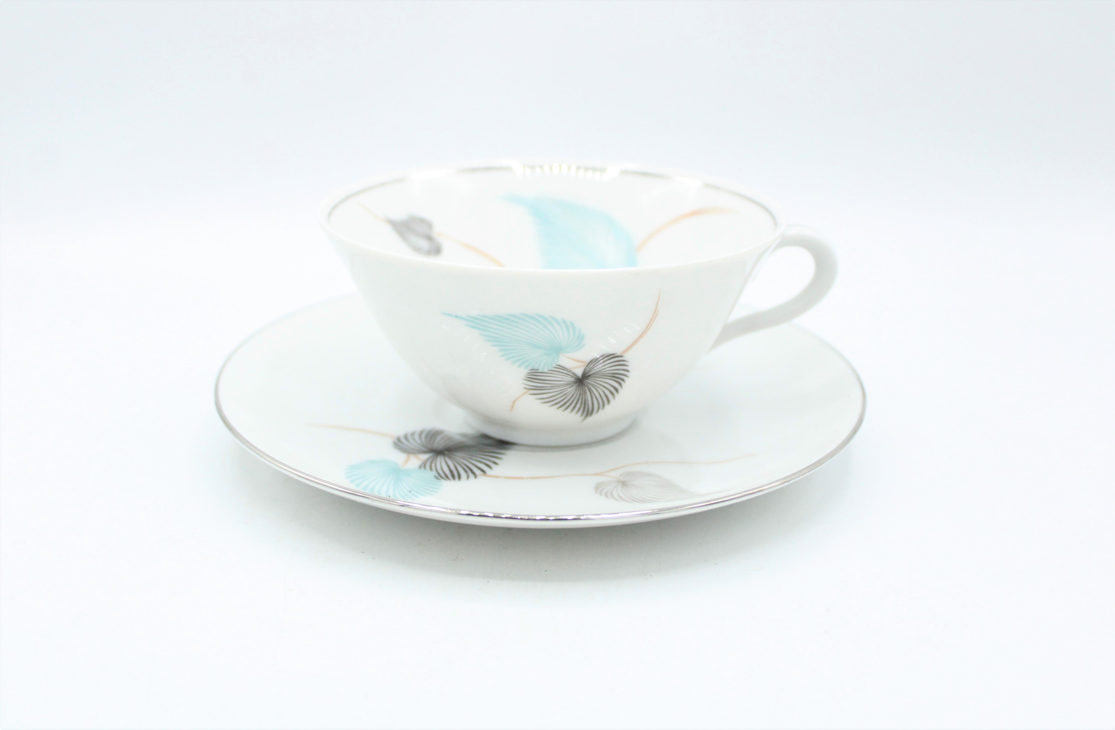 Baronet China Eschenbach Vintage Teacup & Saucer