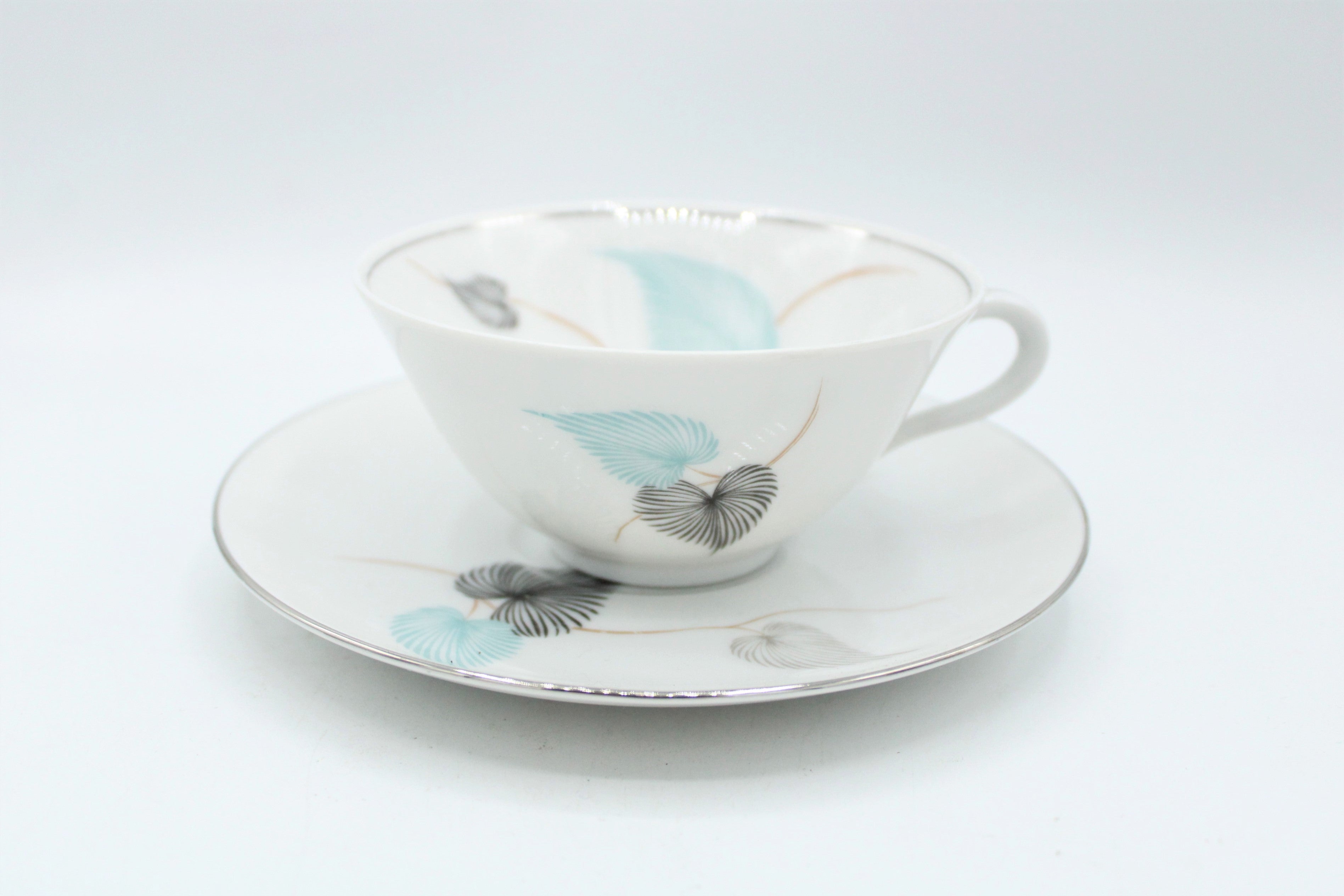 Baronet China Eschenbach Vintage Teacup & Saucer