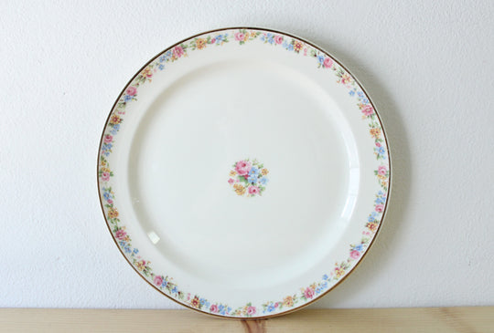 Taylor Smith USA Dinner Plate | 9"