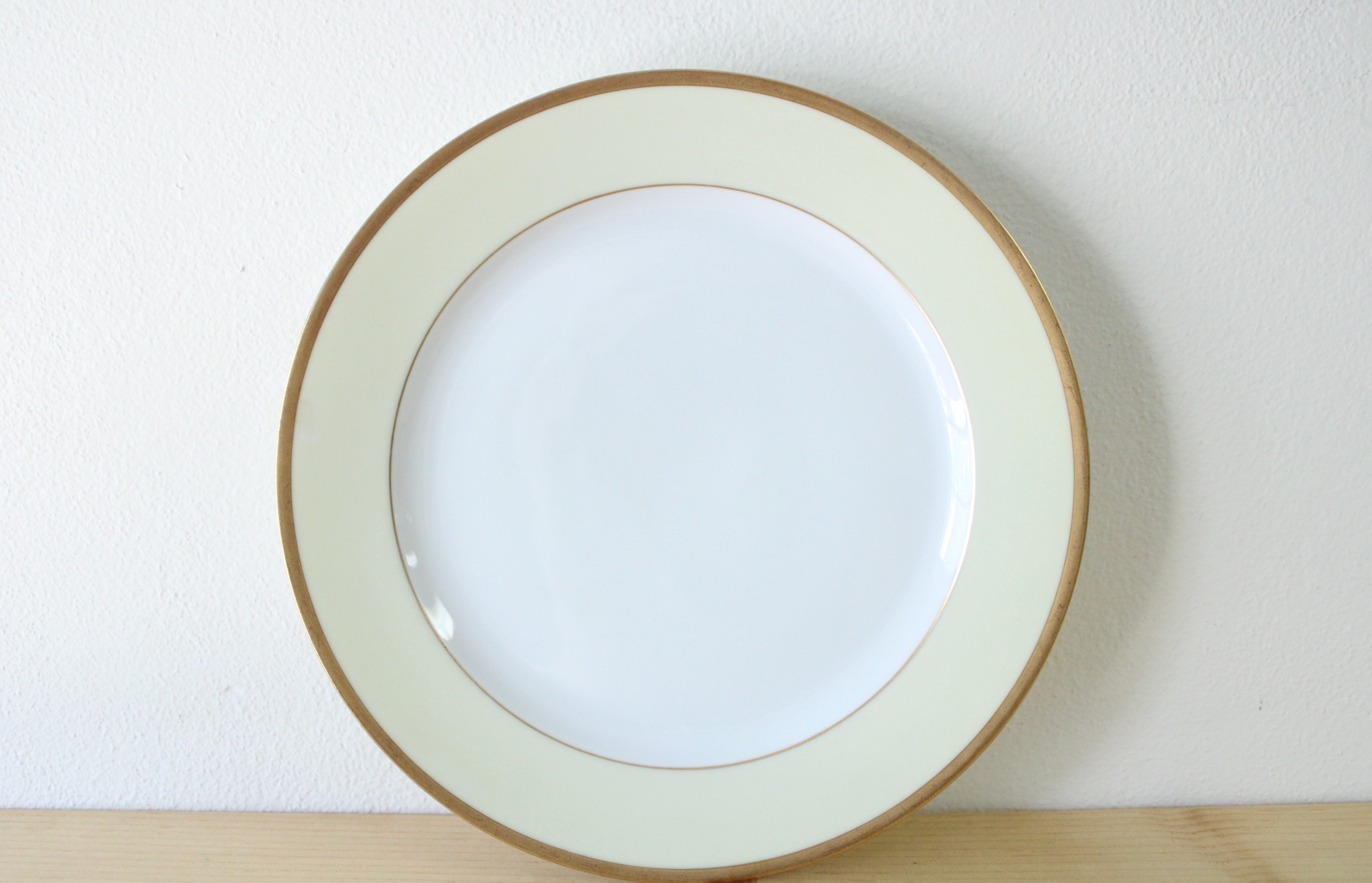 Bavaria Tirschenreuth Plymouth 7578 Dinner Plate | 10"