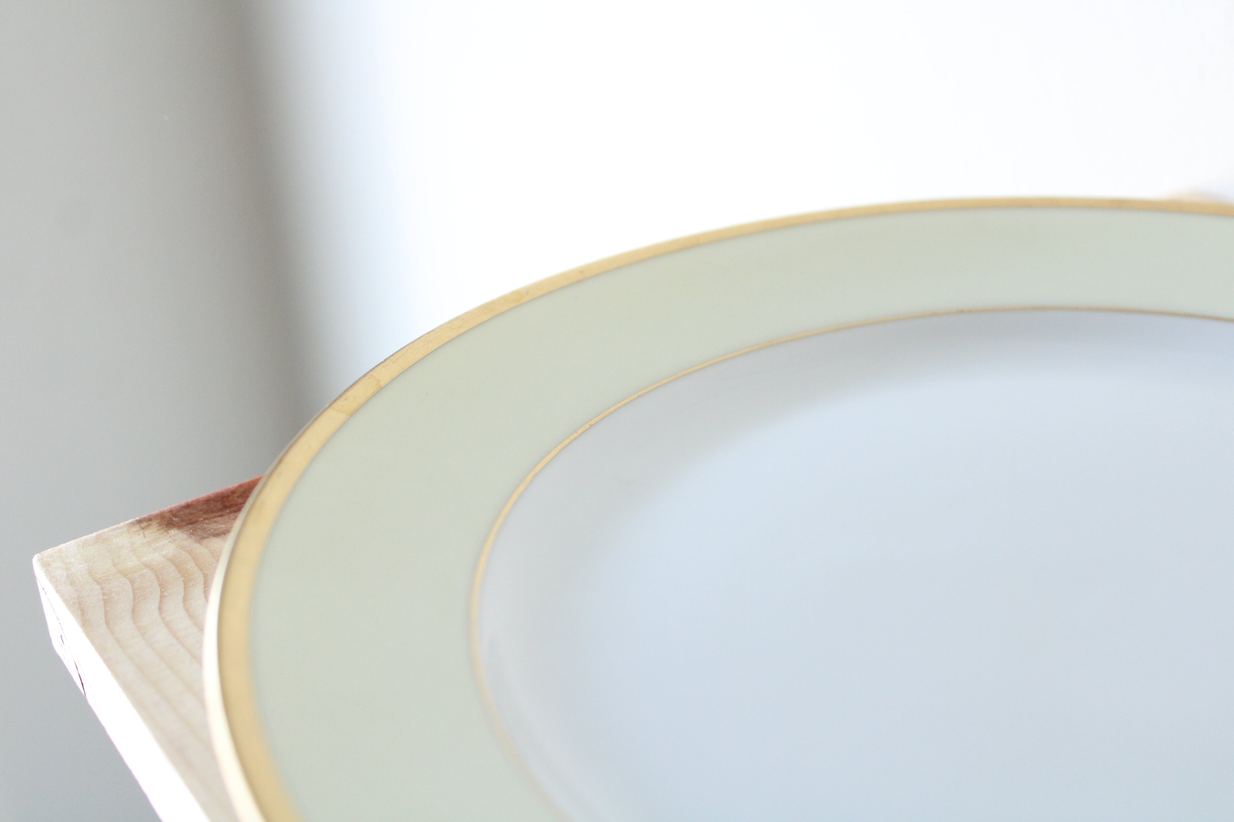 Bavaria Tirschenreuth Plymouth 7578 Dinner Plate | 10"