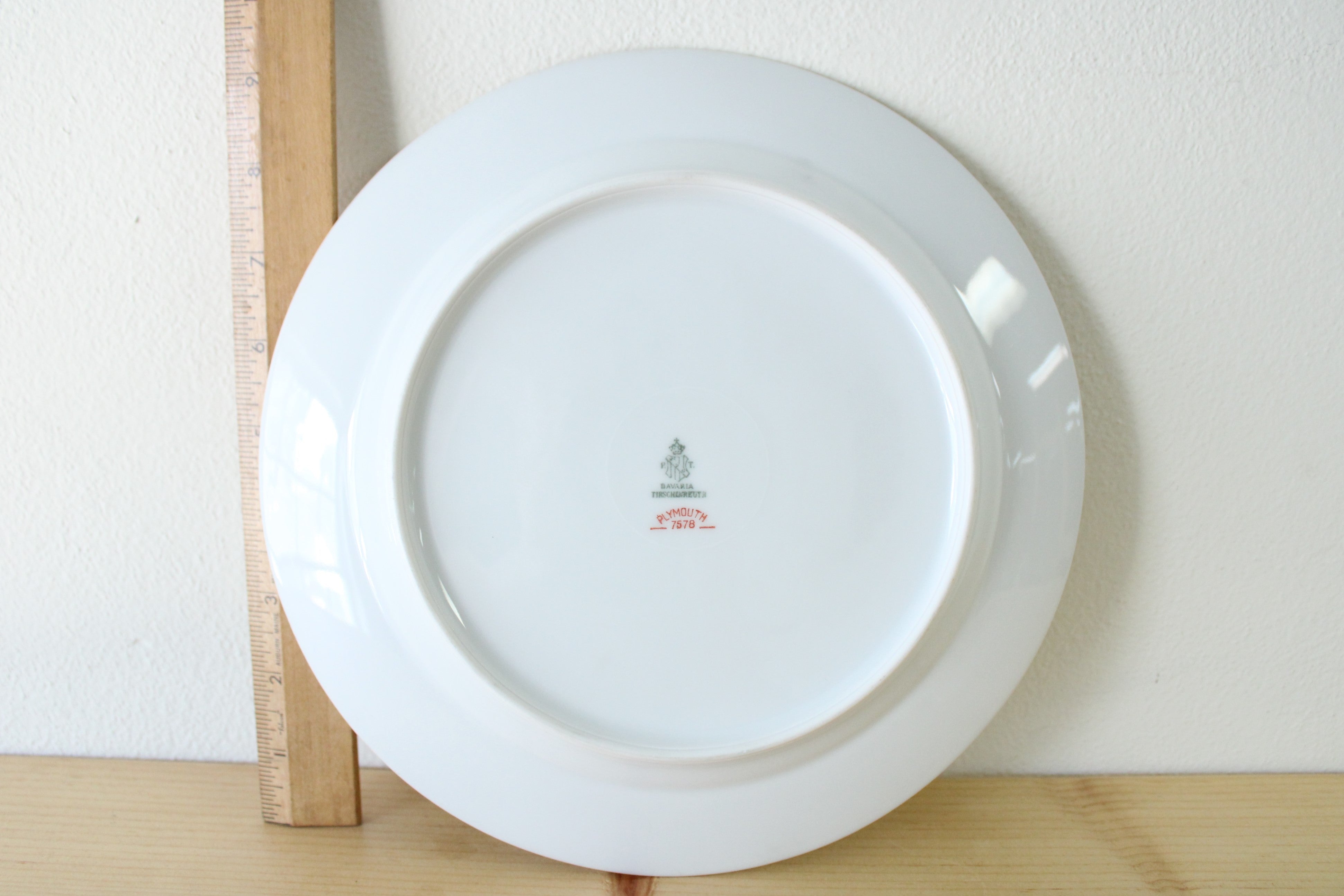 Bavaria Tirschenreuth Plymouth 7578 Dinner Plate | 10"