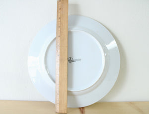 Jamestown China Pink Floral Dinner Plate | 10 1/2"