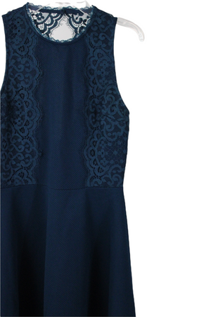 Francesca's Blue Lace Dress | S
