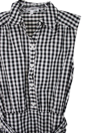 Express Black Gingham Dress | 00