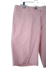 NEW Paisley & Gray Pink Striped Shorts | 33