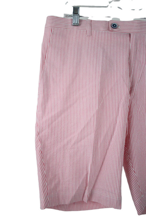 NEW Paisley & Gray Pink Striped Shorts | 33