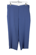 Alfred Dunner Blue Pants | 16 Petite