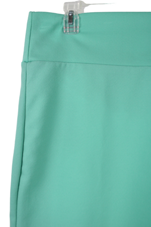 LuLaRoe Blue Fitted Skirt | L